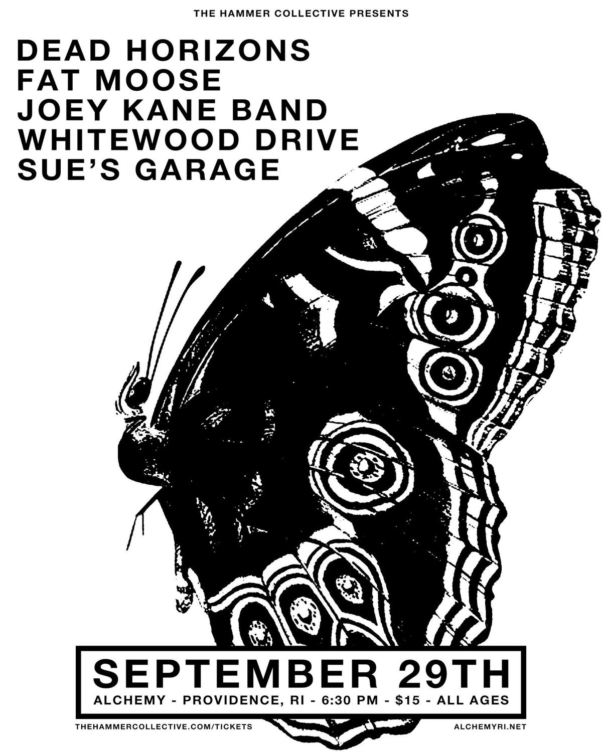 Dead Horizons \/ Fat Moose \/ Joey Kane Band \/ Whitewood Drive \/ Sue's Garage at Alchemy