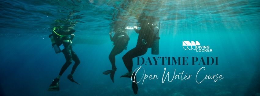 Daytime PADI Open Water Course
