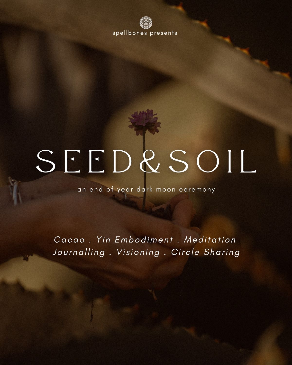 Seed and soil