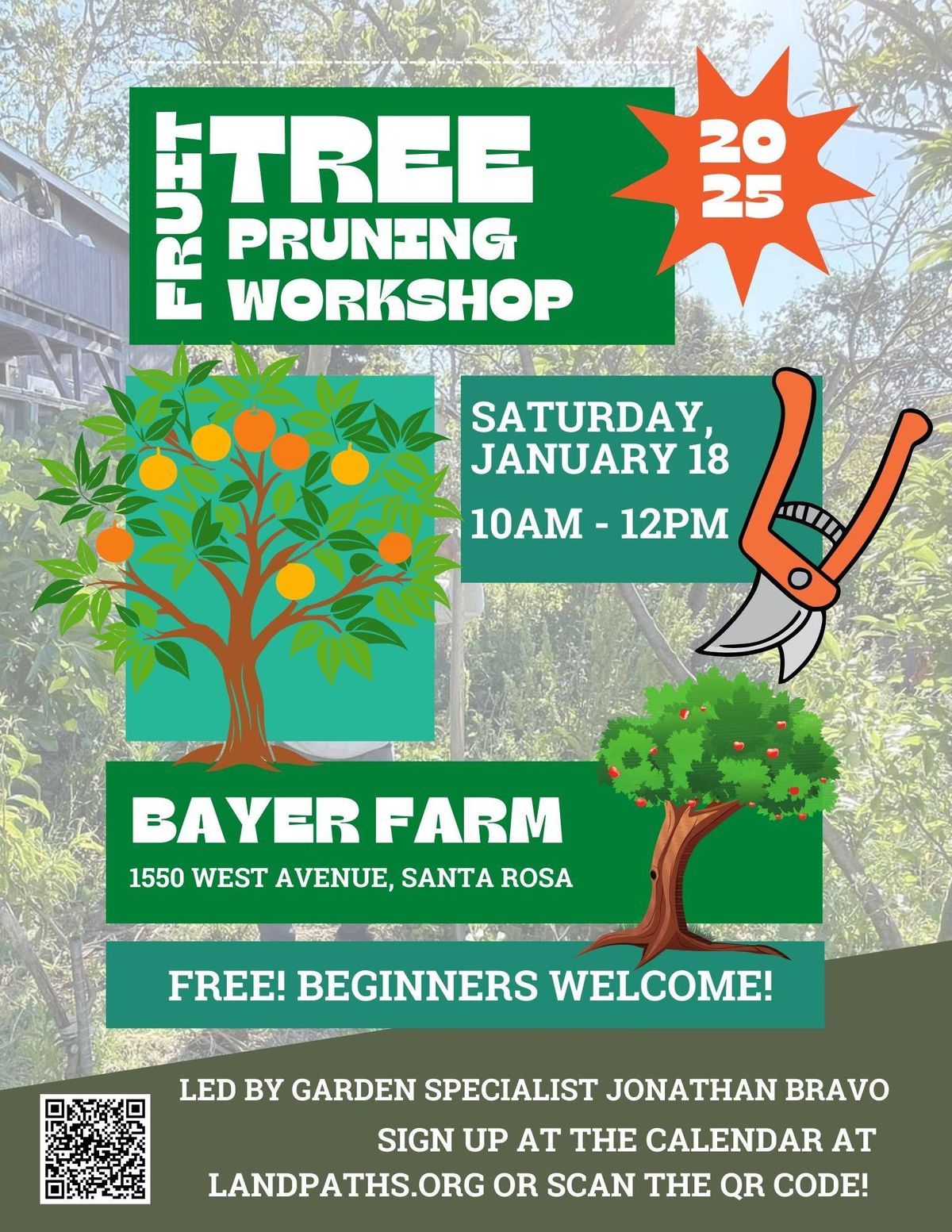 Fruit Tree Pruning Workshop at Bayer Farm~Taller de poda de \u00e1rboles frutales