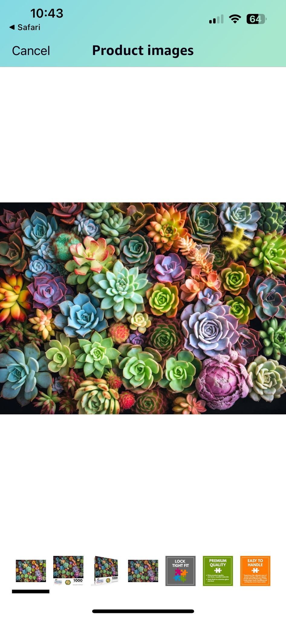 Succulent Container Workshop (price varies)