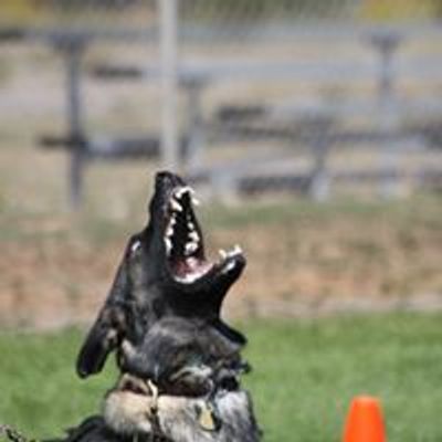 Ouray Working Dog Club