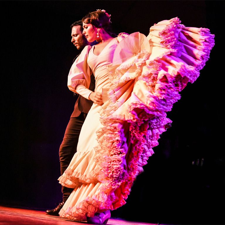 Espect\u00e1culo de Flamenco en directo