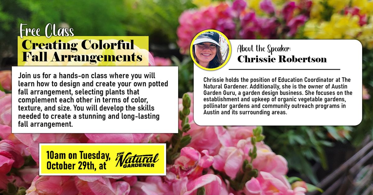 Free Class: How to Create Colorful Fall Arrangements - Presented by Chrissie Robertson 