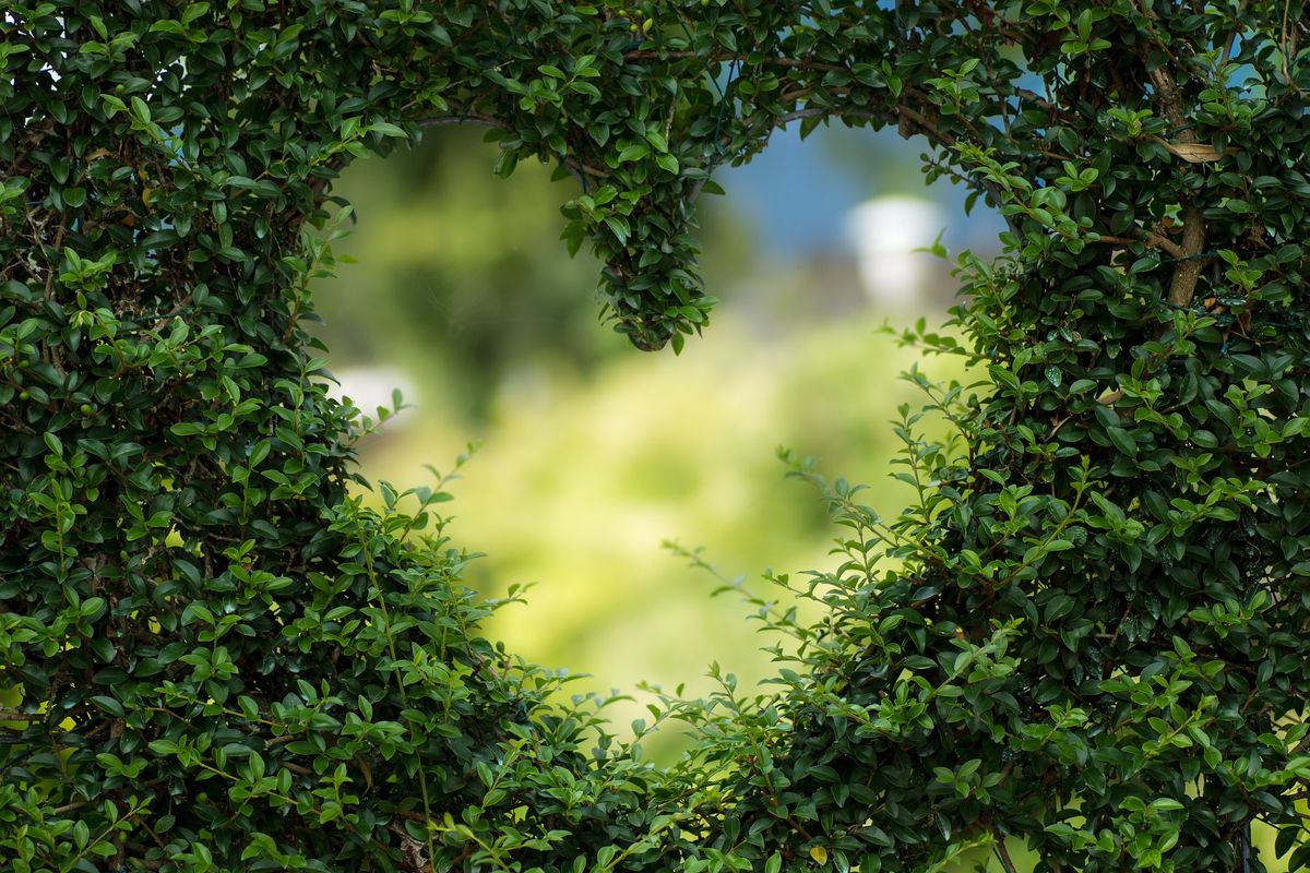 "Liebe Braucht Blumen und mehr" Paarsegnung zum Valentinstag