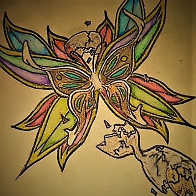 Virtue Us Investment's Inc.