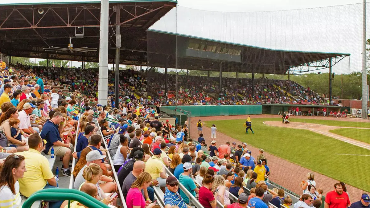 Georgia Southern Eagles at College of Charleston Cougars Baseball