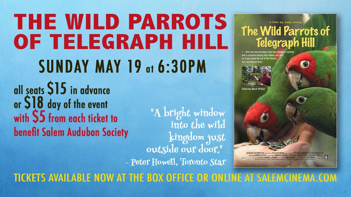The Wild Parrots of Telegraph Hill \u2013 Benefit for Salem Audubon Society