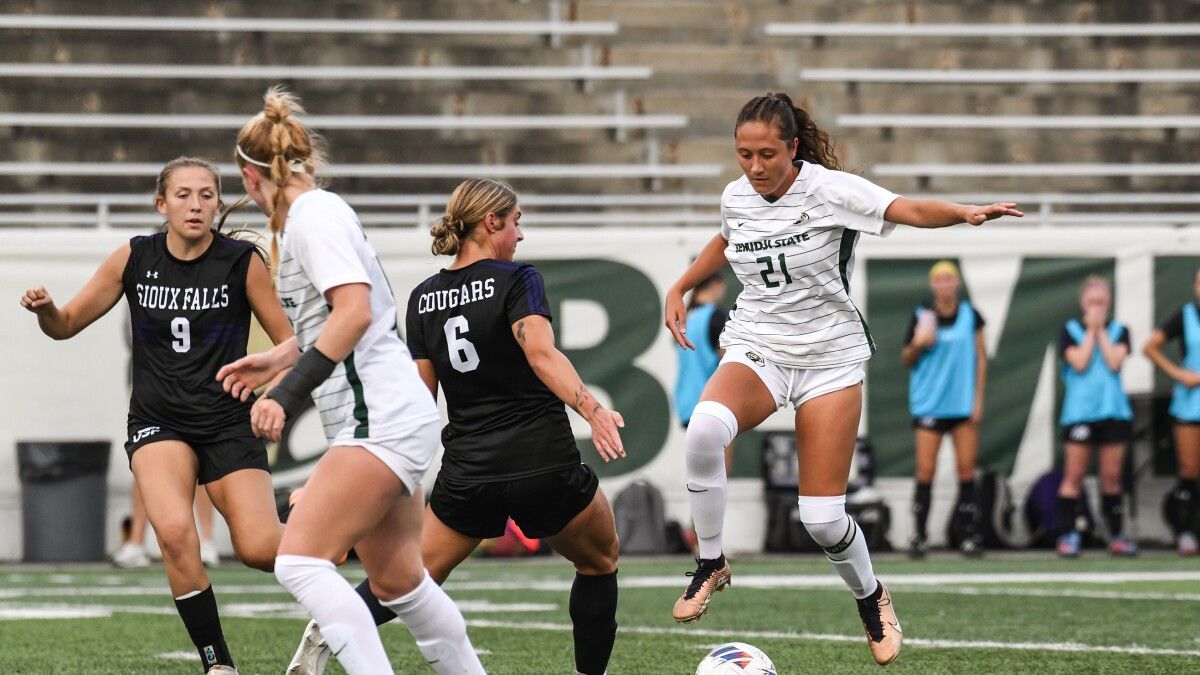 Bemidji State Beavers at Sioux Falls Cougars