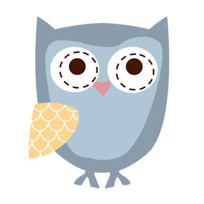 Wise Wonder Enrichment