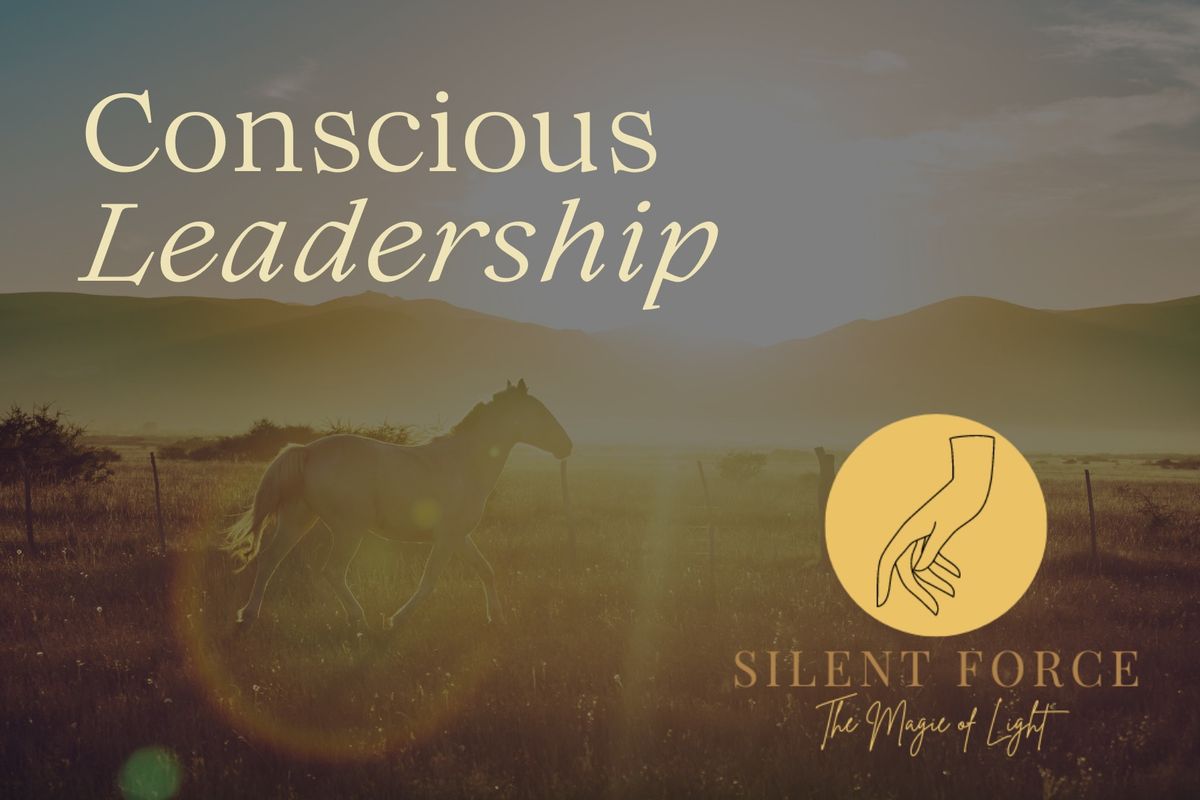 Conscious Leadership Foundation 2-Day Training