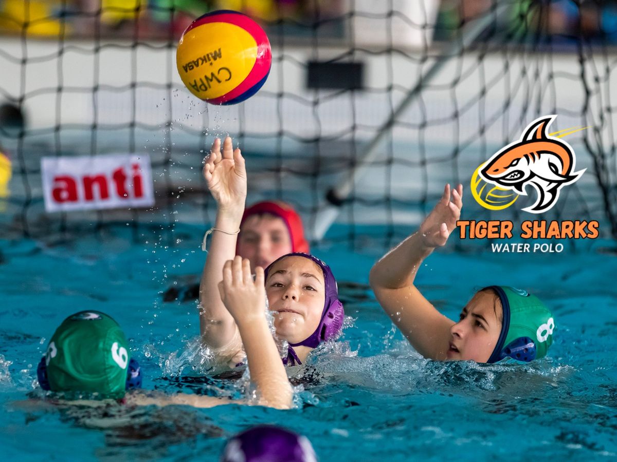 Join Us for a Free Water Polo Clinic!