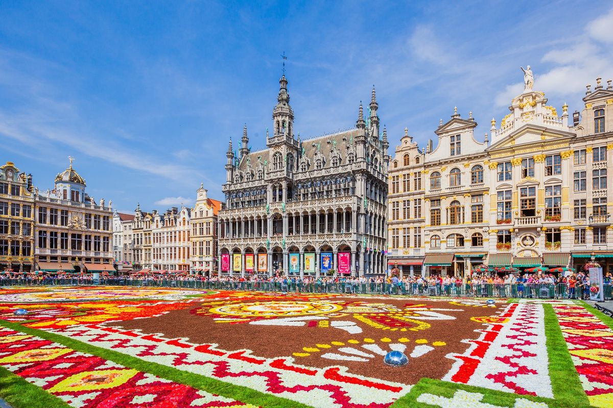 \u20ac179 Departure Graf: Brussels Flower Carpet