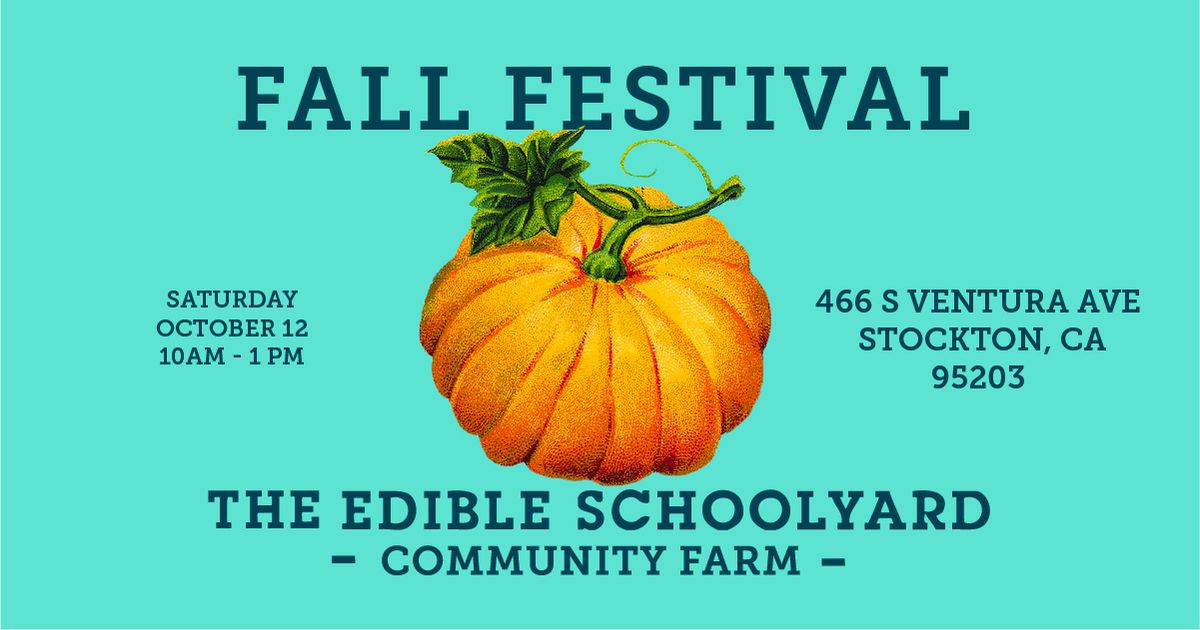 Fall Festival & Celebration