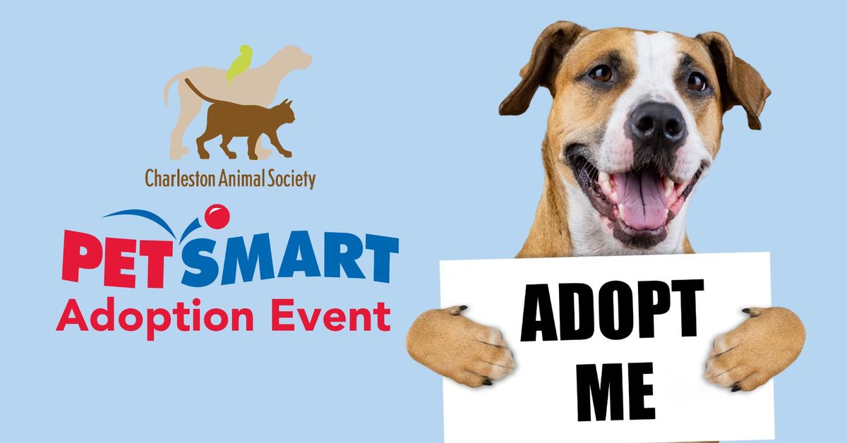 Adoptions at PetSmart James Island