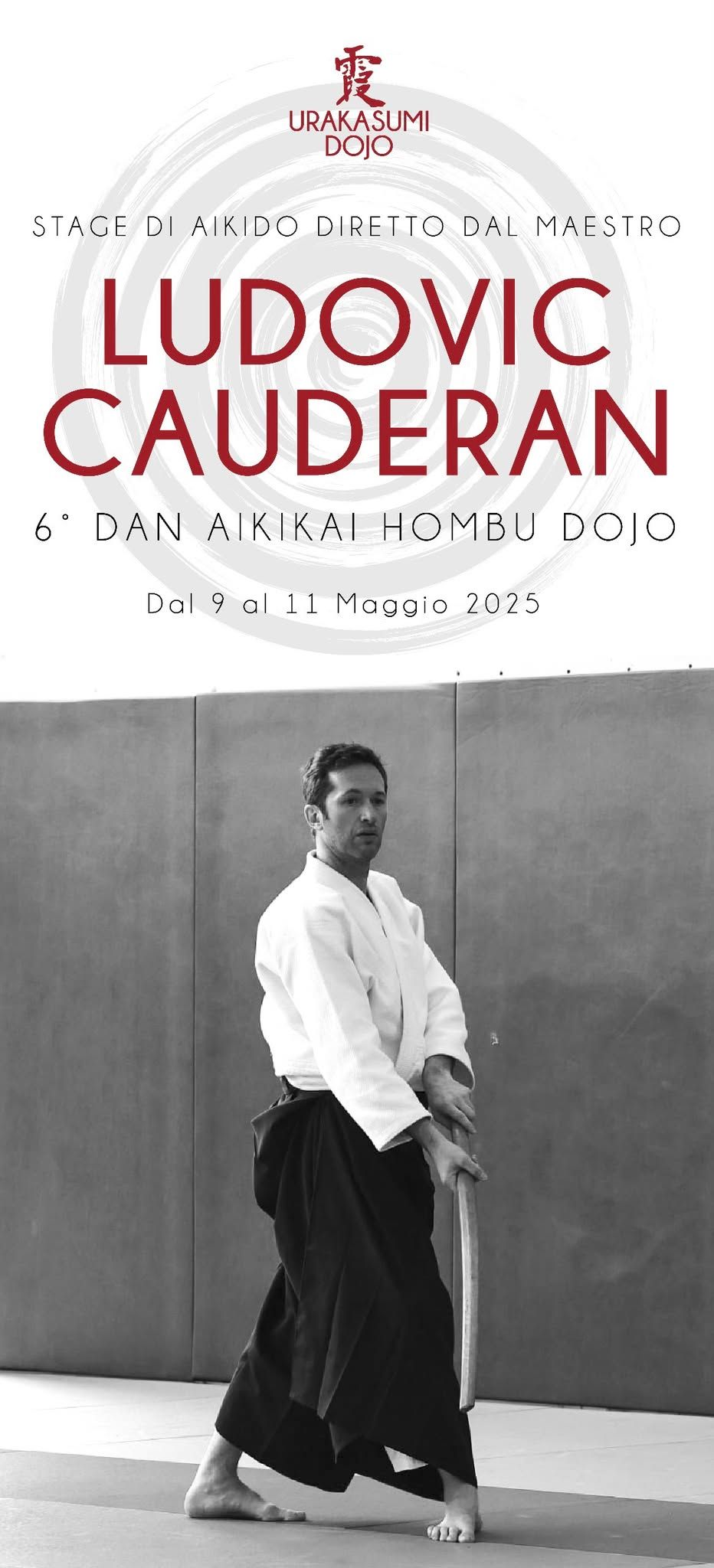 Stage di Aikido con Ludovic Cauderan 6 Dan Aikikai Hombu Dojo 