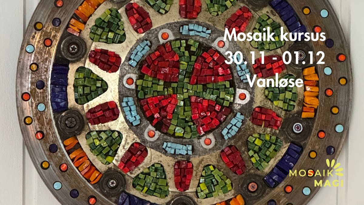 Mosaik kursus Vanl\u00f8se