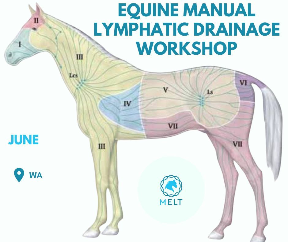 MELD WA Workshop Lymphoedema Awareness Month Special 