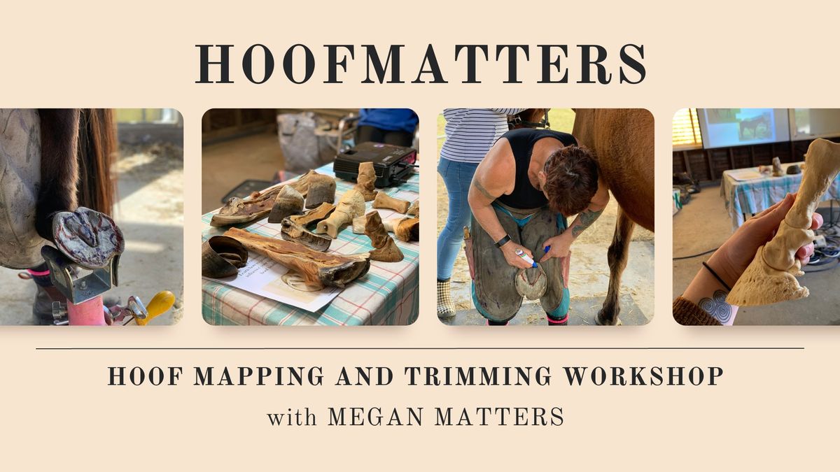 Tamworth Region 3 Day Hoof Mapping, Trimming and Glue On Shoes Clinic