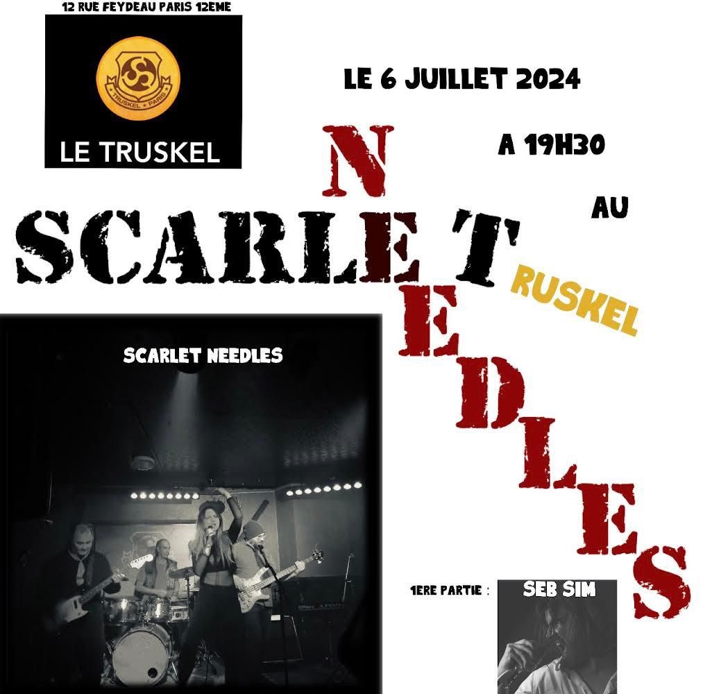 Scarlet Needles + Sebsim rock the Truskel : 1st track release !