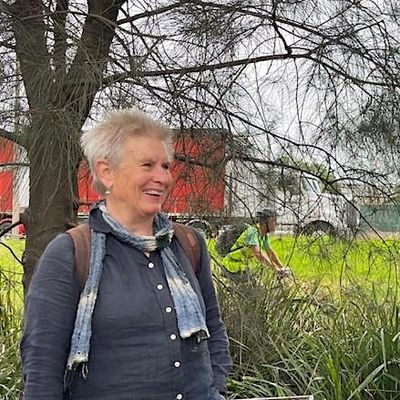 Janet Bolitho - Jane's Walk