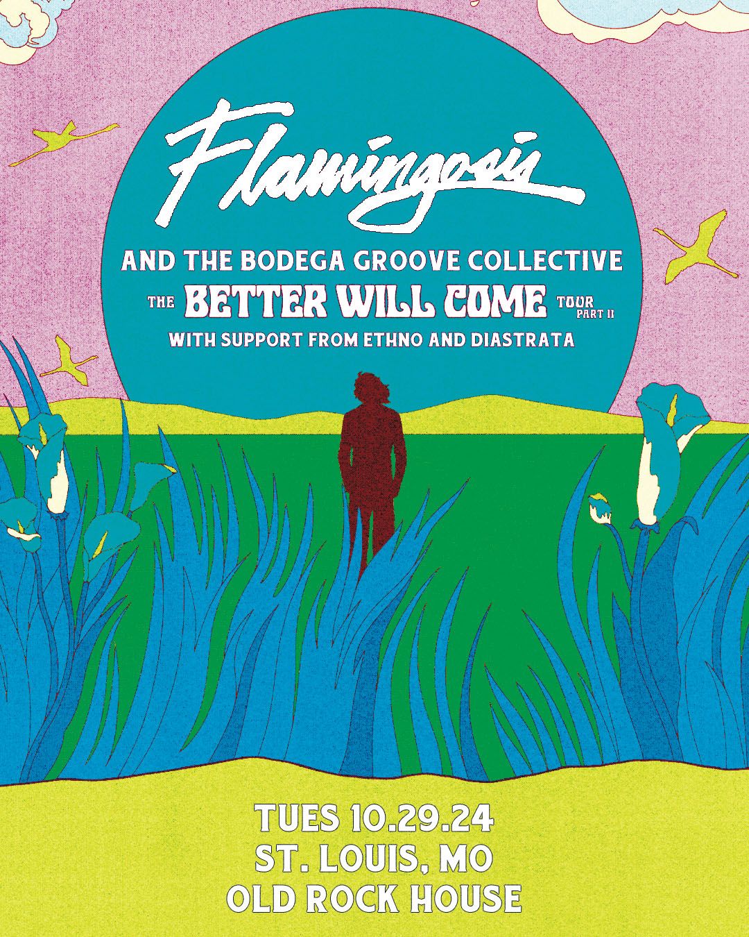 Flamingosis at Old Rock House