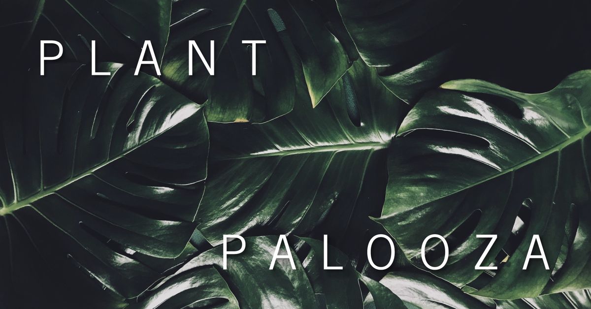 PLANT PALOOZA 5: Plants be plantin.