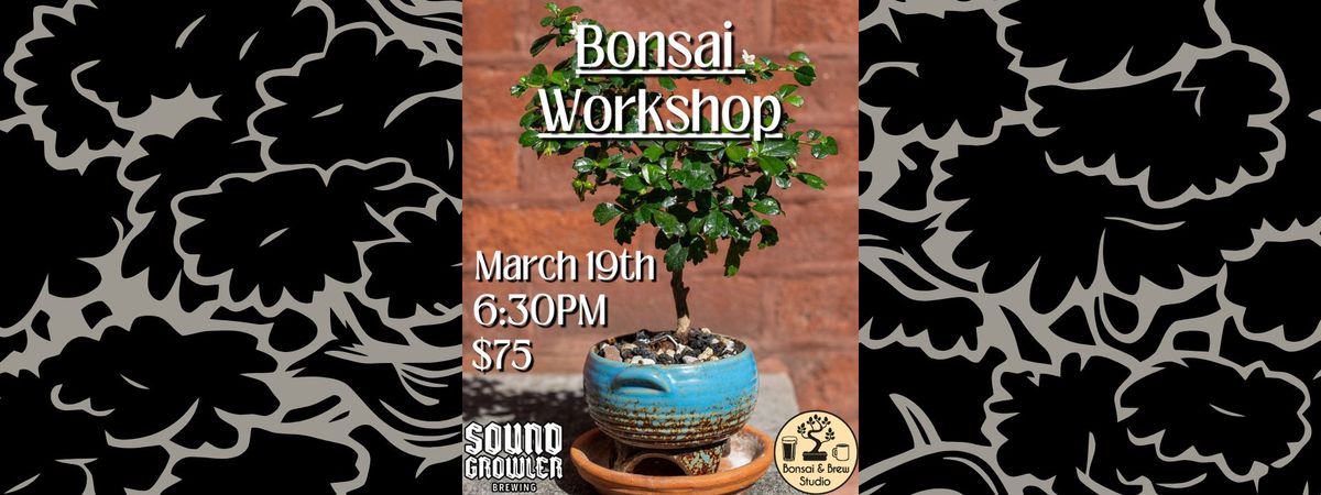 Bonsai Workshop w\/ Bonsai & Brew Studio