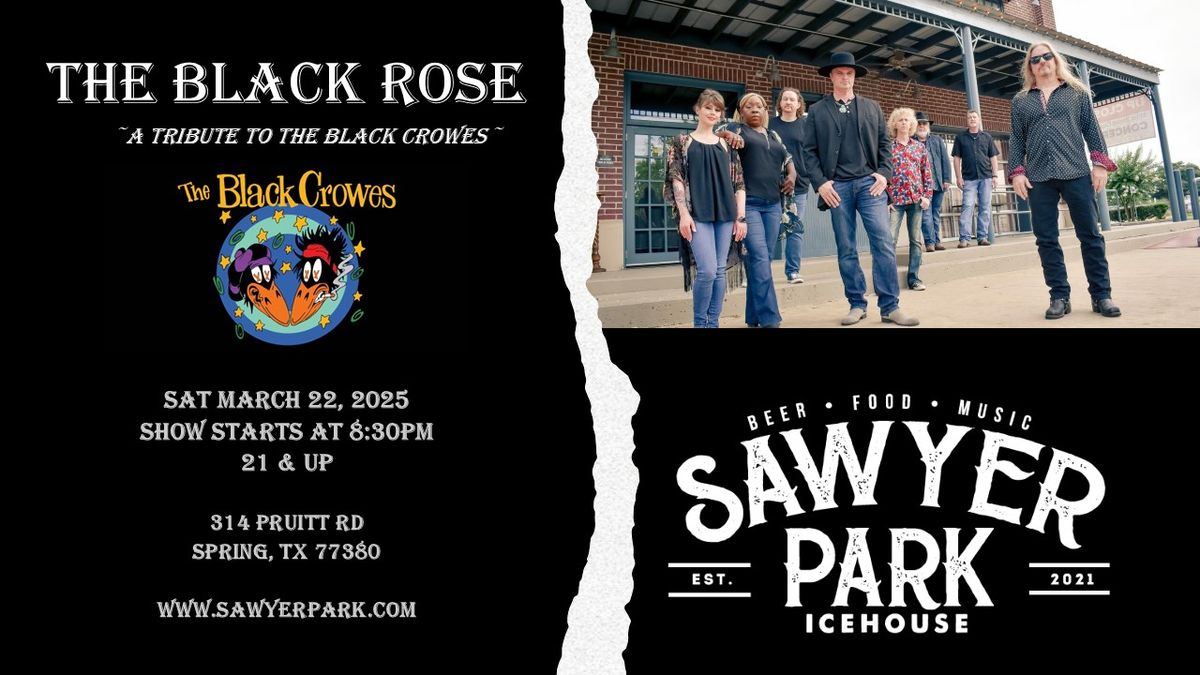 The Black Rose (Black Crowes tribute) - LIVE at Sawyer Park