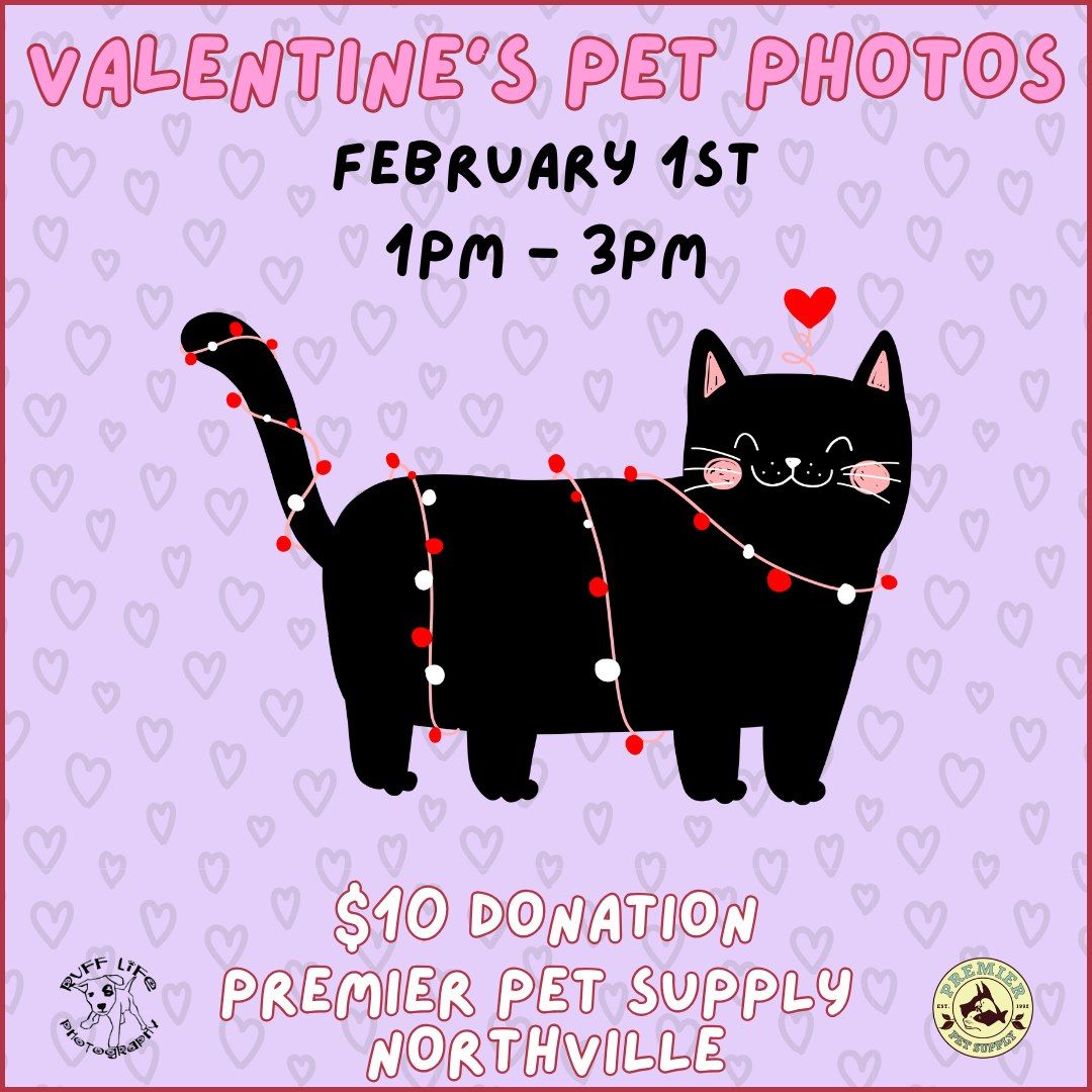 Valentine's Pet Photos W\/ Ruff Life Photography!