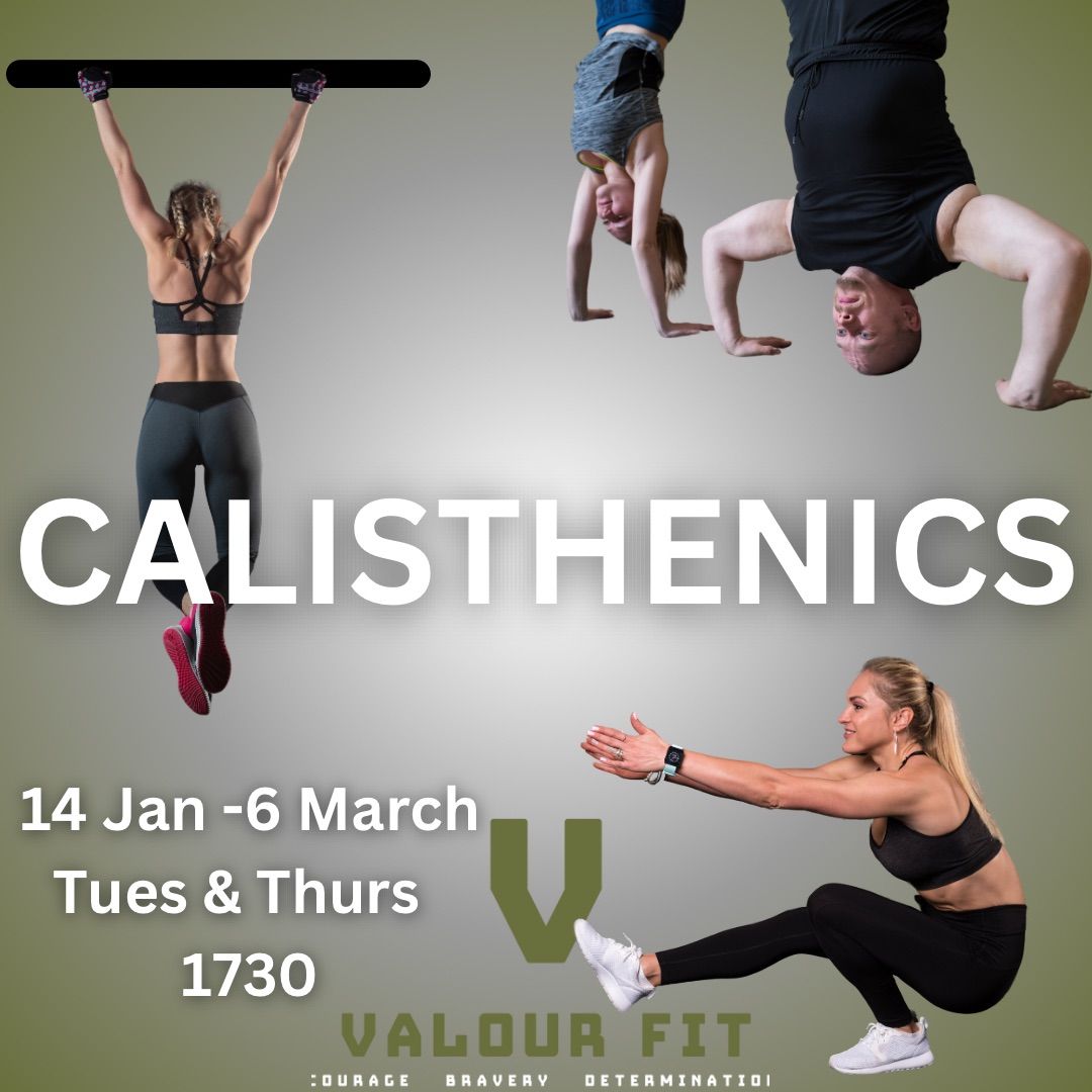 CALISTHENICS Small Group Private Training Program 