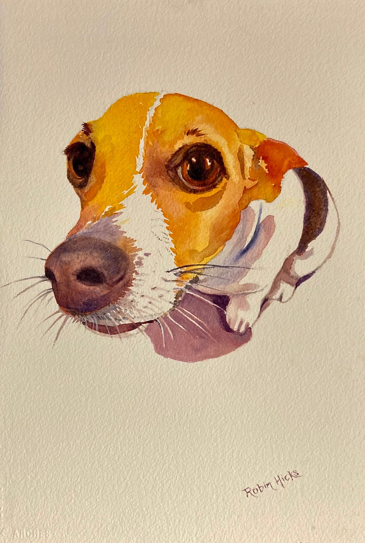 Watercolour Workshop: Painting Animals, with Robin Hicks