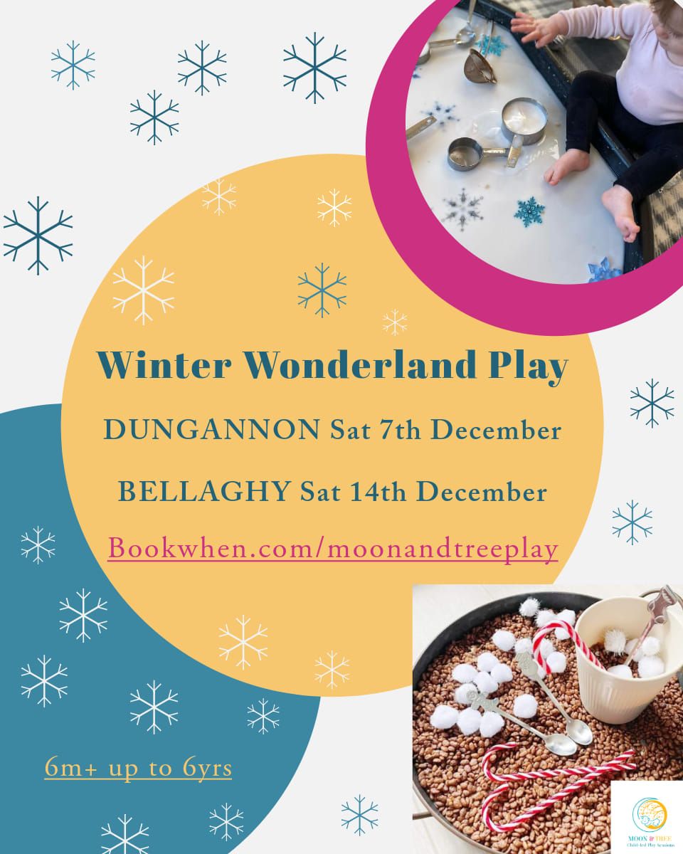 Winter Wonderland Play \u2744\ufe0f Dungannon [6m-6yrs]