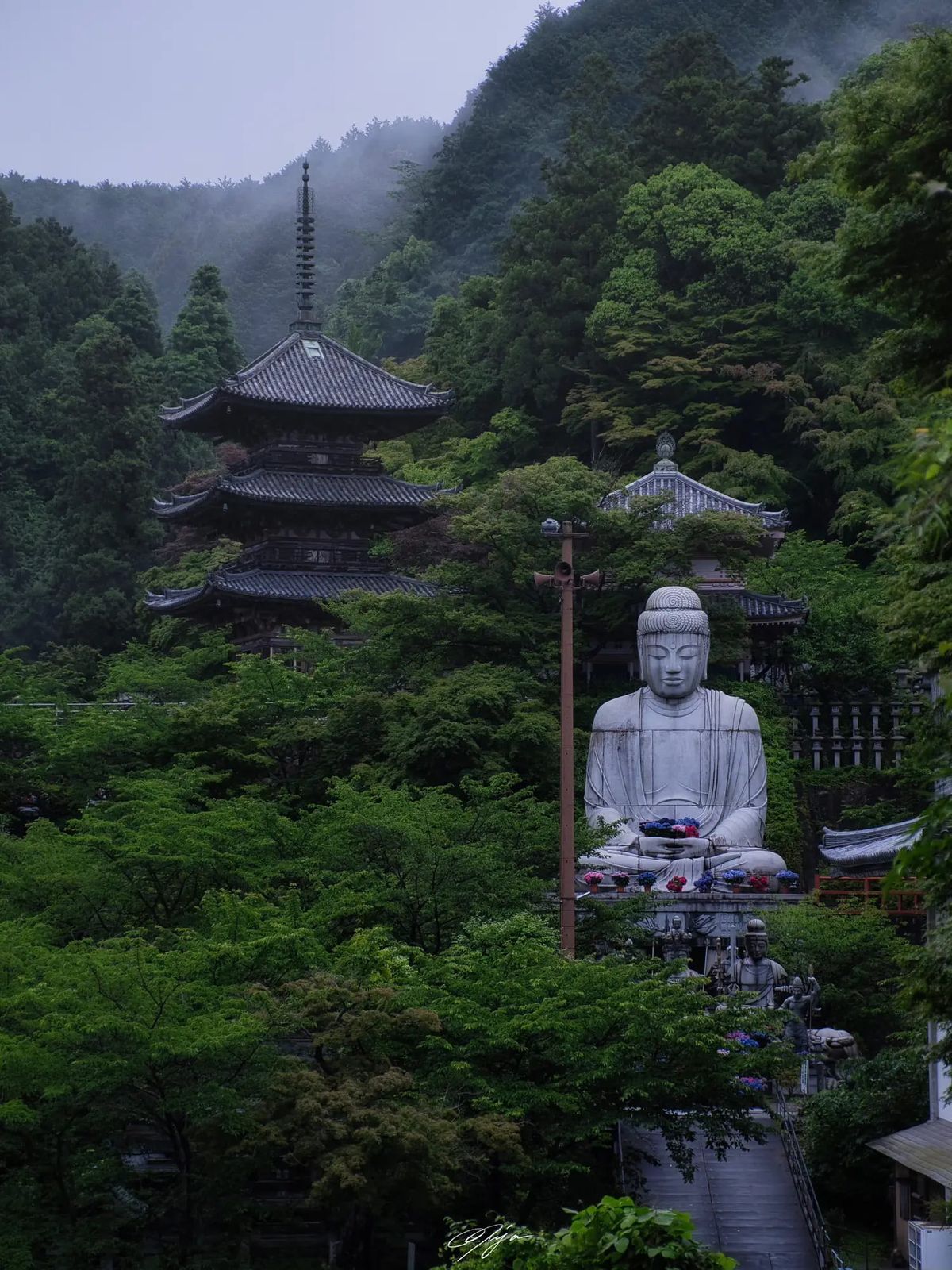 Cesta do Japonska 