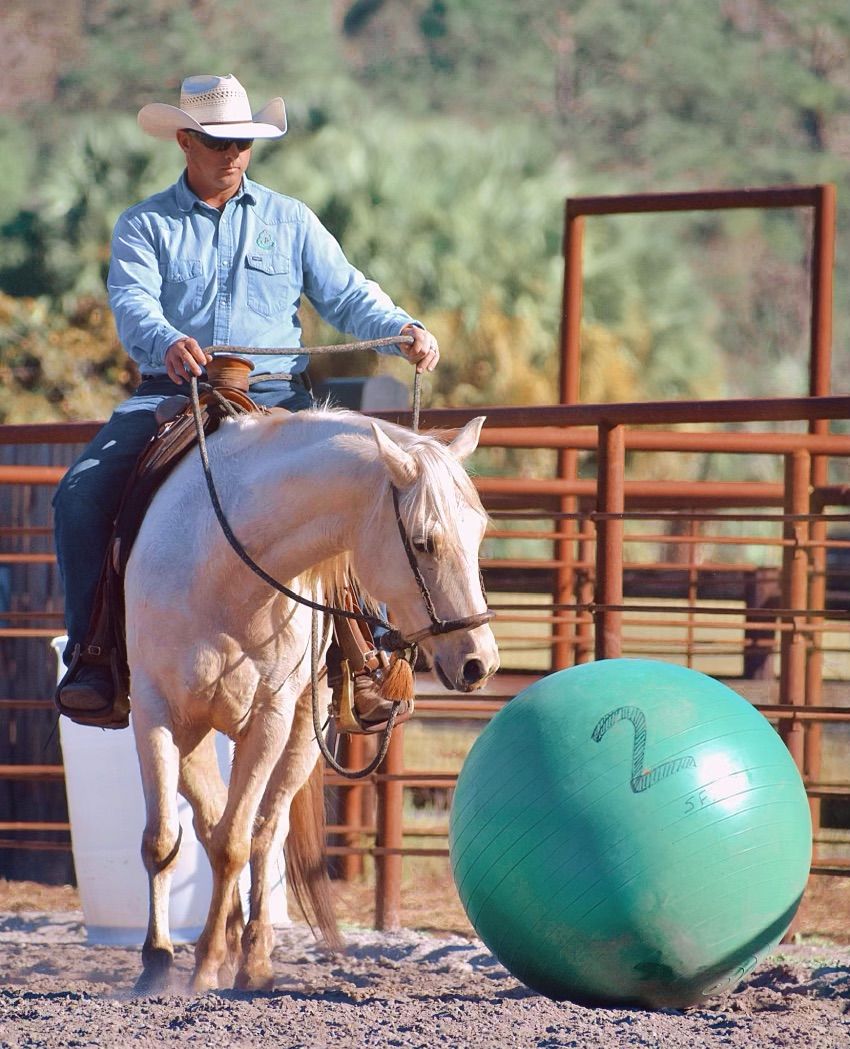 Handy Horse Handy Human 