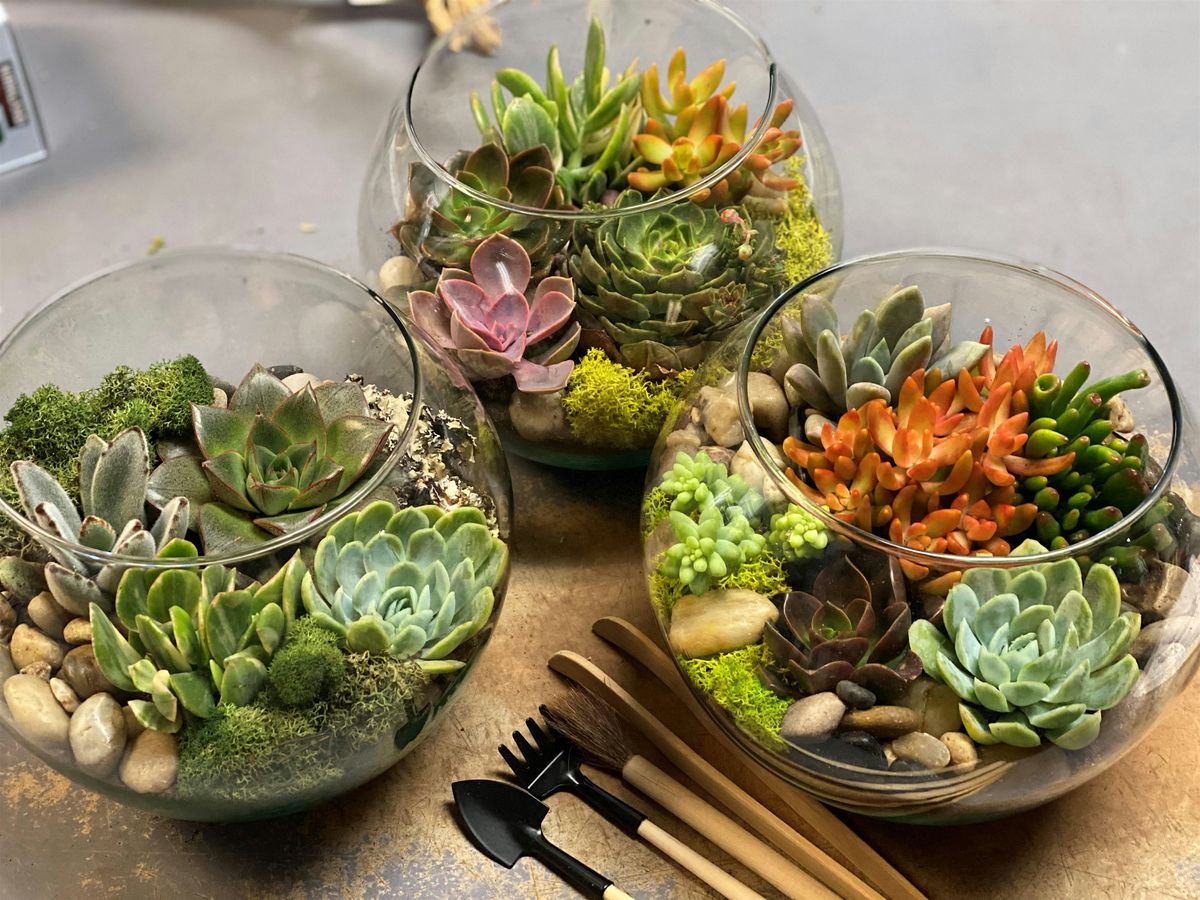 Fun with Dad! Succulent Terrarium Design Class & Beer Tasting!
