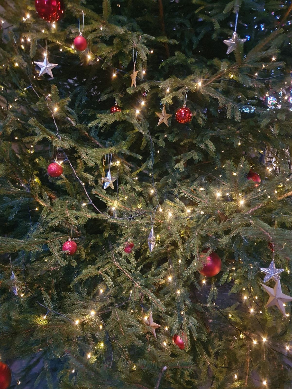 Carlisle Cathedral Christmas Tree Festival!