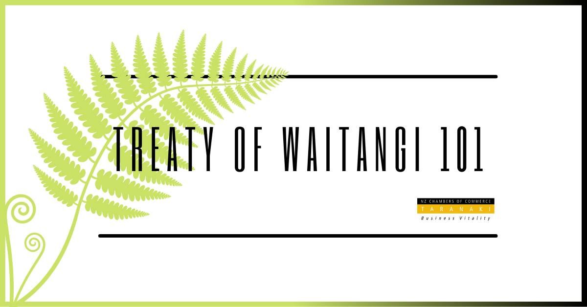 Te Tiriti o Waitangi 101