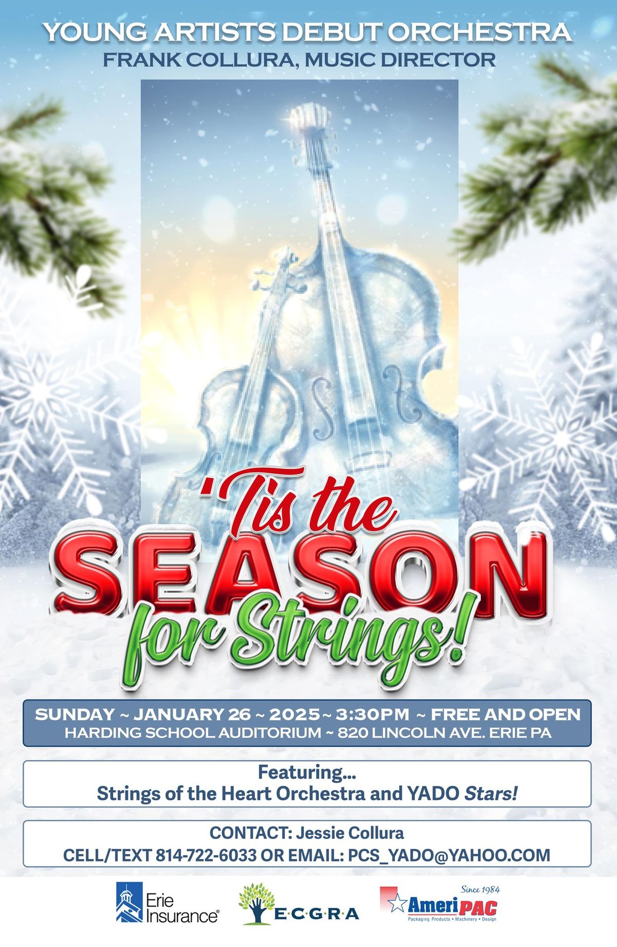 'Tis the Season for Strings!