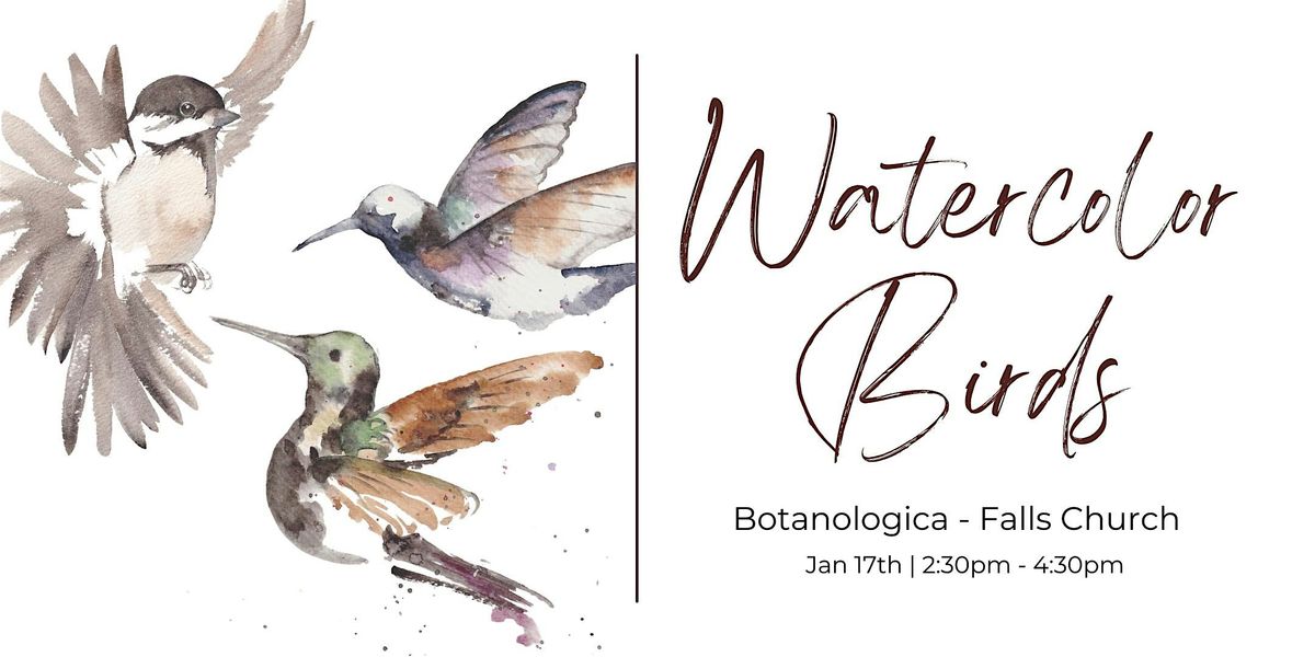 Watercolor Workshop - Birds