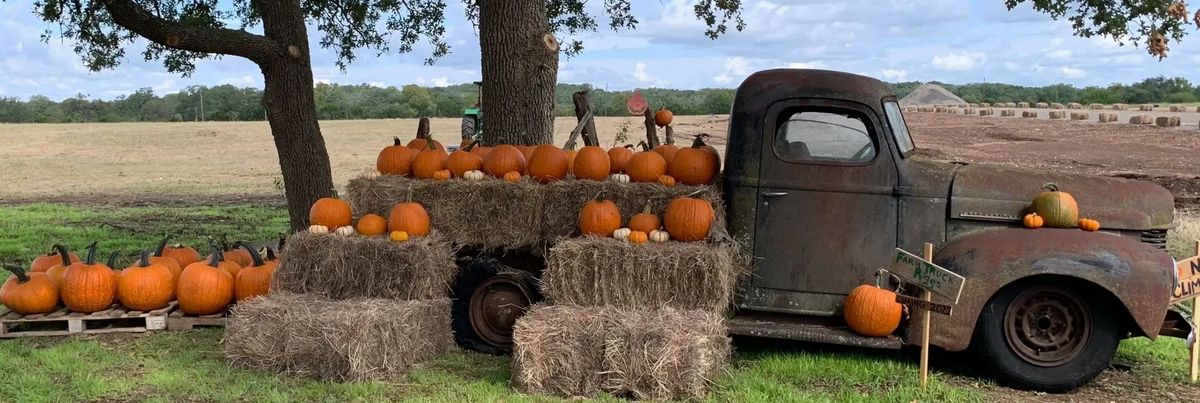 Herff Spirit Night at the Bulverde Pumpkin Patch 