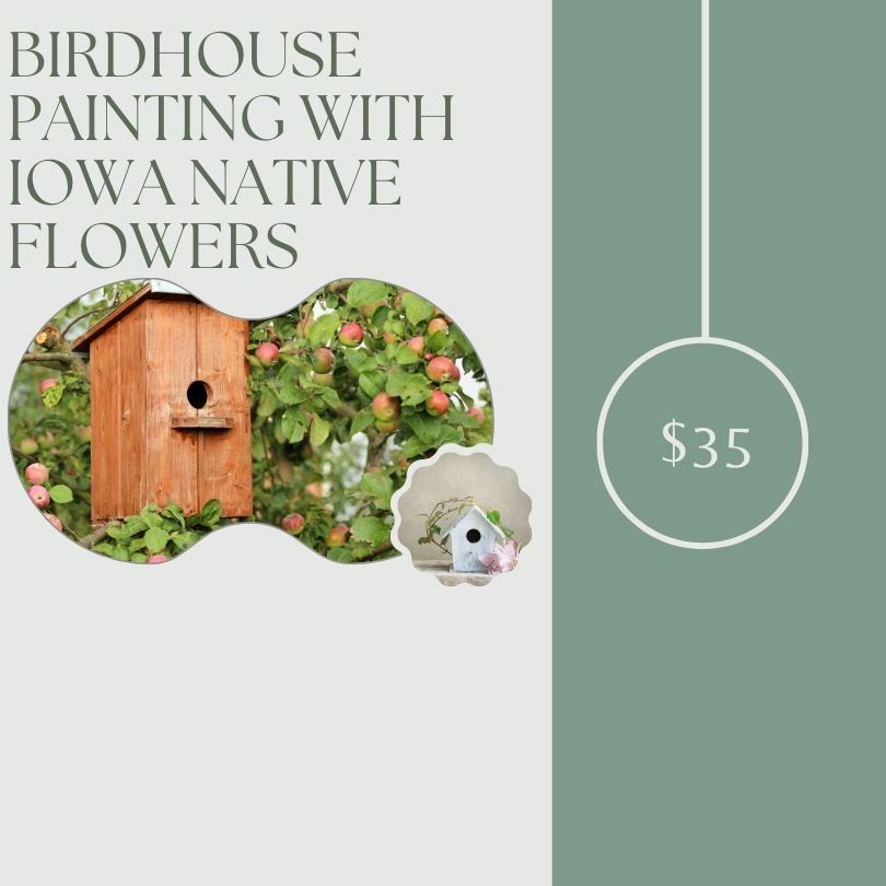 Birdhouse Painting with Iowa Native Flowers