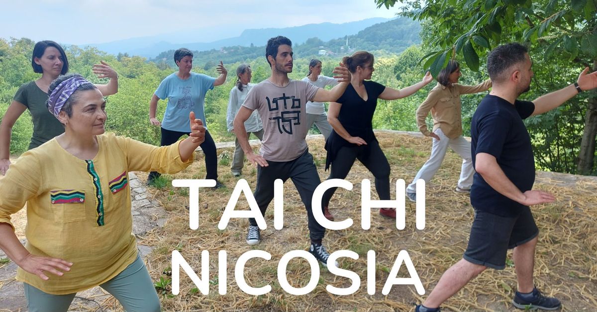 Tai Chi Nicosia