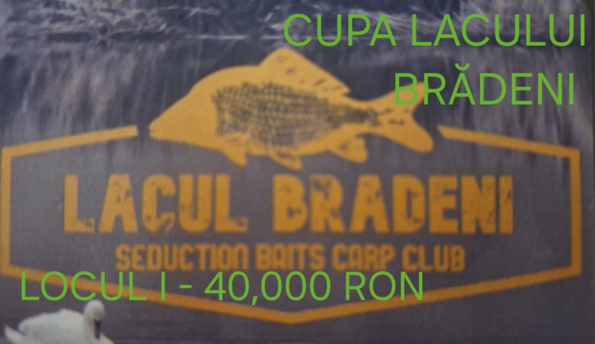 CUPA LACULUI BRADENI