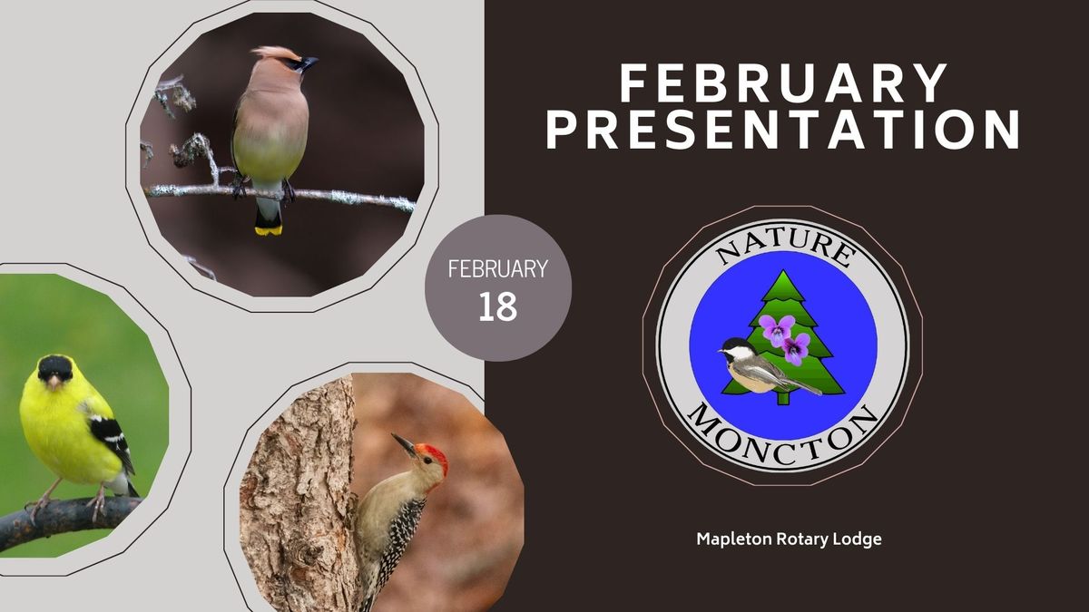 Nature Moncton February Monthly Presentation