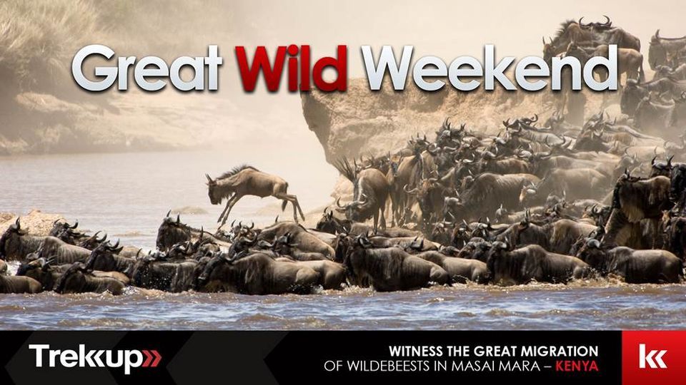 The Great Wild Weekend | Masai Mara, Kenya