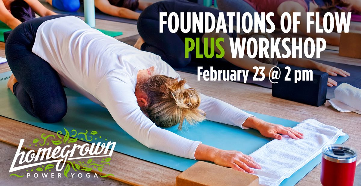 Foundations of Flow PLUS Workshop