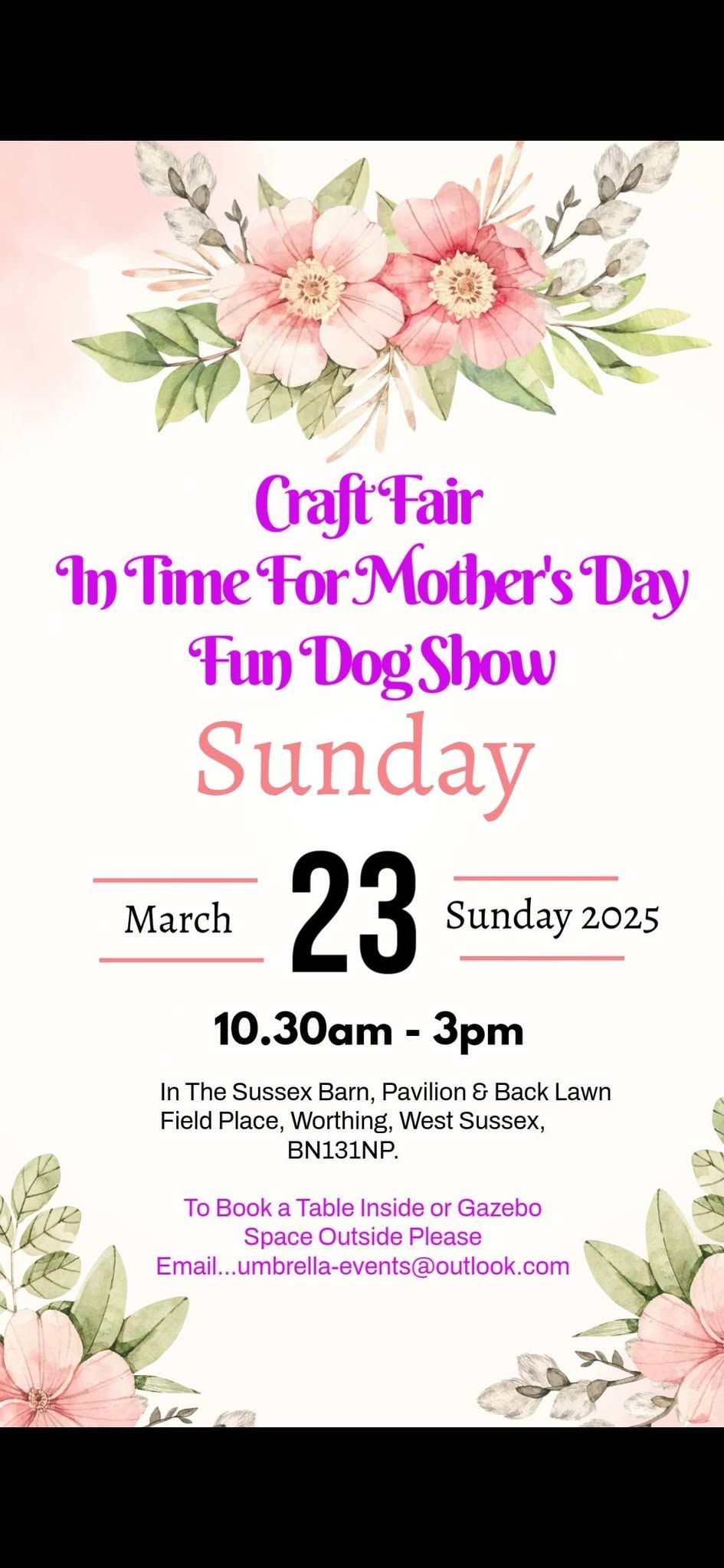 Craft Fair & Fun Dog Show