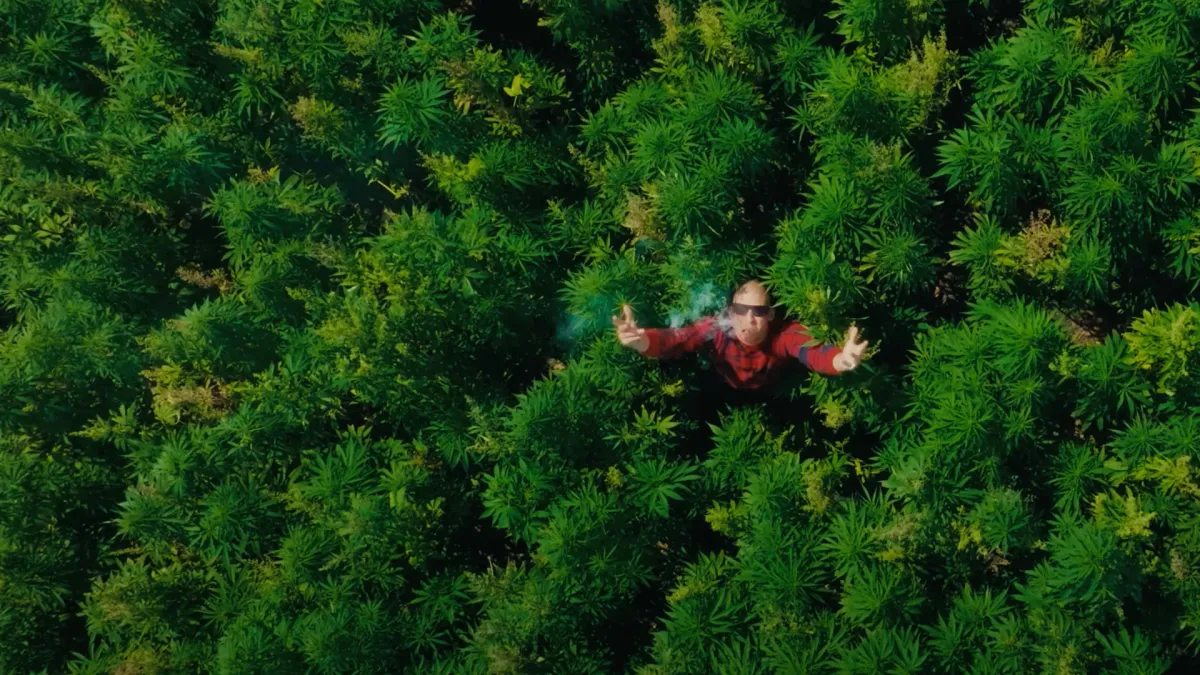 Chillinit in Newcastle