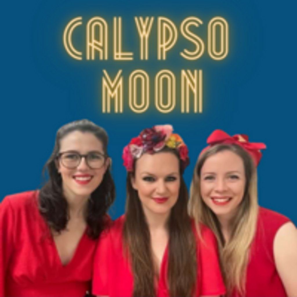 Calypso Moon Christmas Special Show